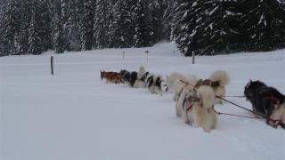 HOTEL Auberge du grand Git - 2