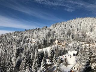 Stara Bačija - Kopaonik - 5