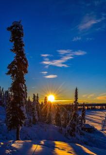 Lake Louise Lodge, Alaska - Glennallen - 6