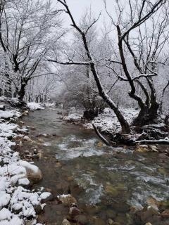 Dryades Guesthouse - Ano Chora - 8