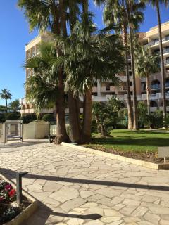 Appartement Belle Azur - Cannes - 7