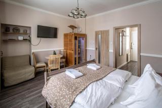 Champagne Studio with Sauna - Prague - 2