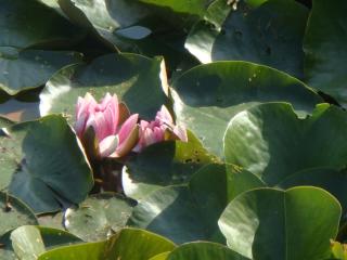 La maison du lac - 5