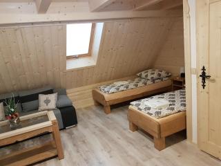 Apartamenty góralskie MICHNIAK - 1