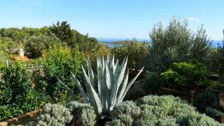 Apartmani Mirela & Feri - 3