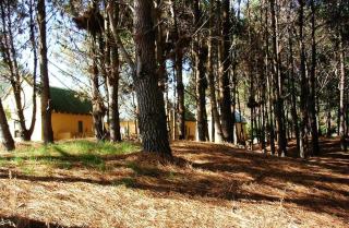 Chalets del Bosque - 4