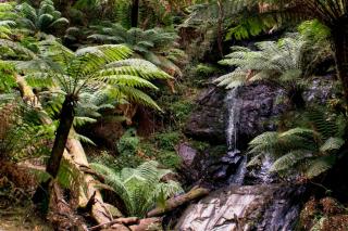 Yarram Holiday Park - Yarram - 4