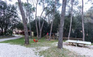 Camping Esponellà - Esponellá - 3