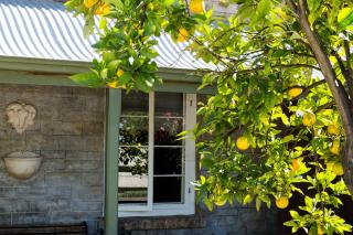 Grand Cru Estate Homestead - Springton - 1