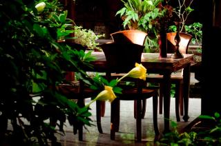 Pondok Bulan Mas - Ubud - 4
