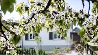 Ferienhaus Hotel Hirschen Horn - Gaienhofen - 4