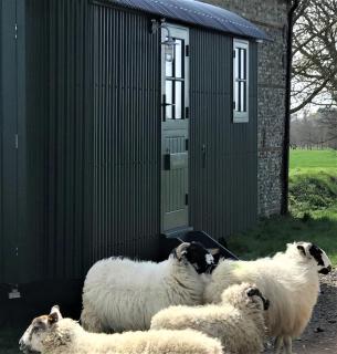 Barnham Court Farm - Barnham - 9