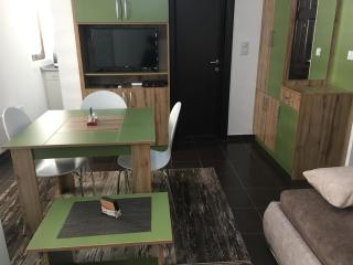 Apartment Ramonda - Kopaonik - 0