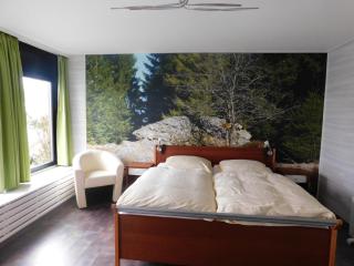 Pension Haus Petra - Altenau - 2