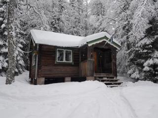 Liten timmerstuga i Sälen - 9