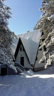 Kuća za odmor Arsenijević - Zlatibor - 6