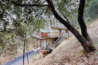Cozy Chalet (15-013) - Groveland - 8