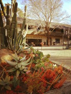 Belmont Guesthouse - Bloemfontein - 0