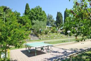 Fattoria I Tribbi - Ambra - 5