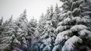 Barbi Exclusive Apartment - Bad Mitterndorf - 1