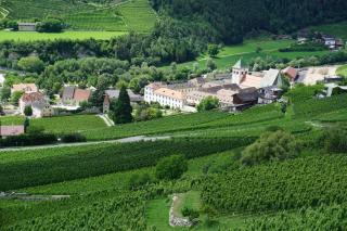 BUEHLERHOF Agriturismo, Obst-&Weingut, Urlaub mit Hund, Bauernhof, Brixen - Rasa - 1