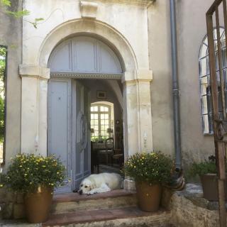 Le petit Figuier - La Roque-dʼAnthéron - 8