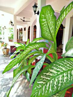 Palm Beach Resort by Yosha Guest - Trincomalee - 6