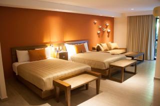 Hotel Puerta Del Sol Guadalajara - Guadalajara - 4