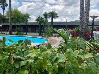 Teal Motor Lodge - Gisborne - 7