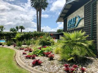 Teal Motor Lodge - Gisborne - 4
