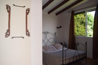 Zandoli - Le Gosier - 3