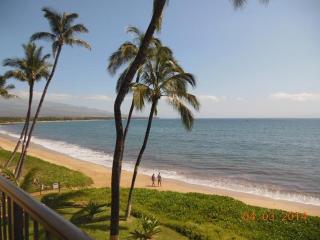 Deluxe Oceanview Maui Studio..New & Updated - Kahana - 4