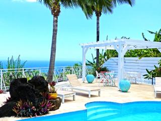 LA BOHEME, résidence de 5 appartements avec piscine, vue océan, Petite Ile - Petite Île - 4