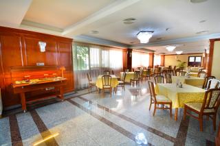 Hotel Emma Est - Craiova - 9