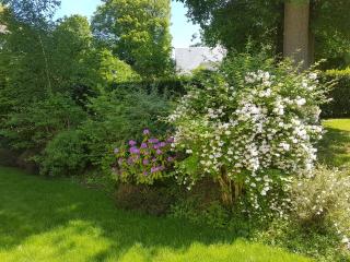 La Clémencerie Chambre d'hôtes - 1