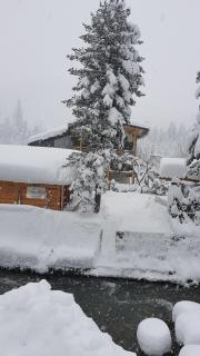 Jagd trifft Moderne & Boutique Jardin Ferienhaus - 6