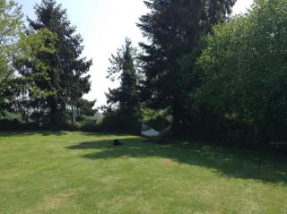 The Grange - Les Portes du Coglais - 2