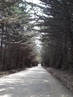 Summer & Summer - Pichilemu - 4