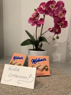 Neu renovierte Unterkunft - 2