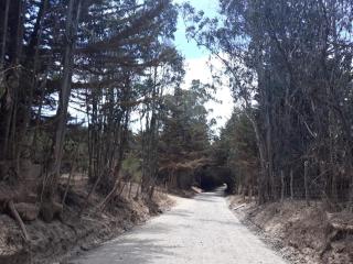 Summer & Summer - Pichilemu - 7