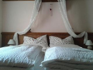 B&B Villa Ca'Praja - Daone - 1