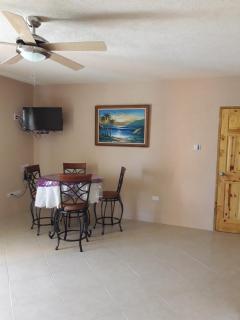 Manderley Villas - Saint Philip - 1