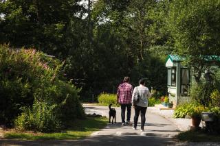 Newby Bridge Country Caravan Park - Newby Bridge - 9