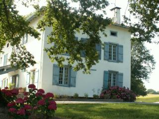 BIDACHUNA - Saint-Pée-sur-Nivelle - 0
