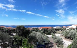 Apartment Gligora - Mandre - 3