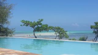 Jaribu Beach Hotel - Paje - 9