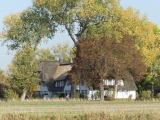 Landhaus am Haff - Stolpe auf Usedom - 8
