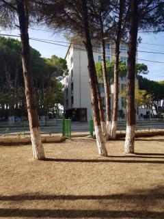 Holiday Family Apartment - Golem - 4