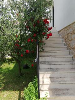 Holiday Home Dunja - 9