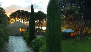 Ngahere Hou Glamping - Kenepuru Head - 0